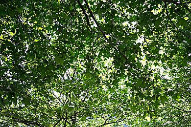 《我的世界：地下城》Steam页面上线 9月正式发售